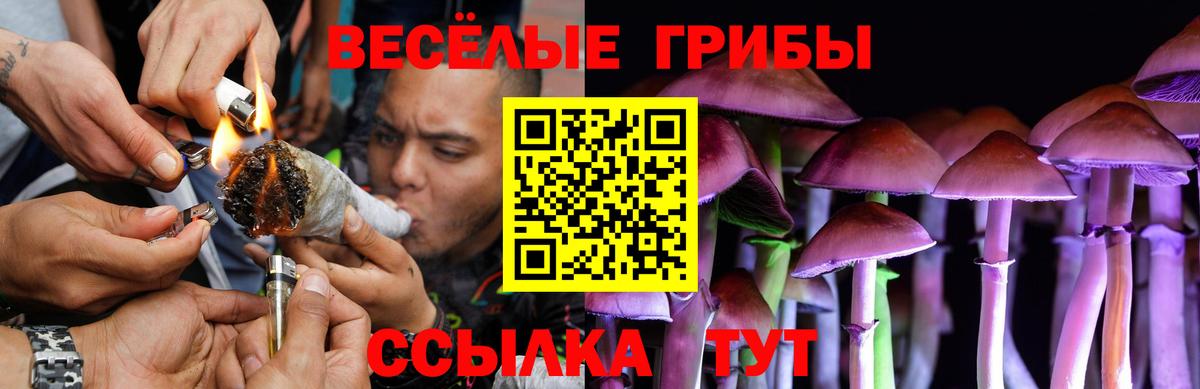 хочу наркоту  Галлюциногенные грибы Psilocybine cubensis  Севастополь  Вход с VPN  Галлюциногенные грибы Psilocybe 